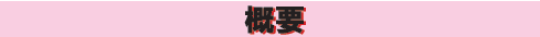 概要
